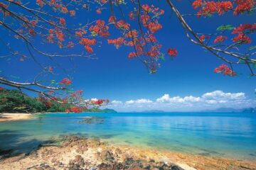 fotonoticia_20160108110440_800