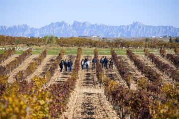 fotonoticia_20160114151056_800