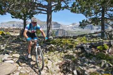 fotonoticia_20160125172408_800