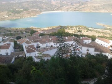 fotonoticia_20160127112459_800