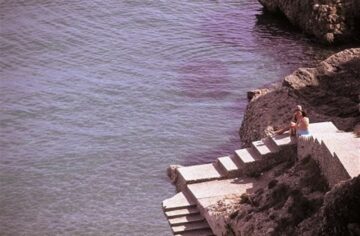 fotonoticia_20160127121129_800