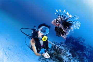 fotonoticia_20160129144632_800