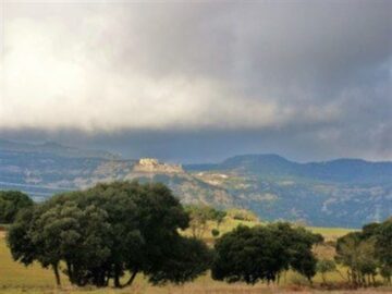 fotonoticia_20160129151354_800