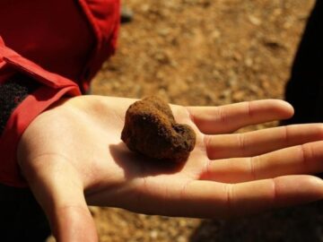 fotonoticia_20160129170133_800