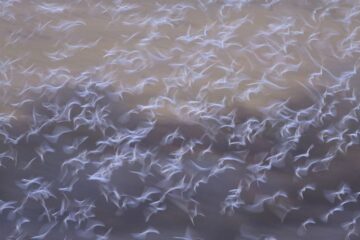 fotonoticia_20160201104252_800