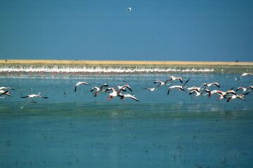 fotonoticia_20160202130846_800