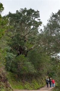 fotonoticia_20160208165615_800