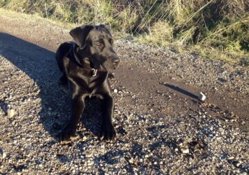 fotonoticia_20160209140334_800