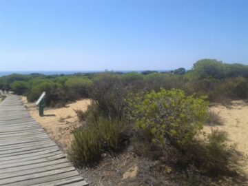 fotonoticia_20160209161015_800