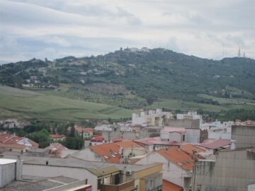 fotonoticia_20160209161132_800