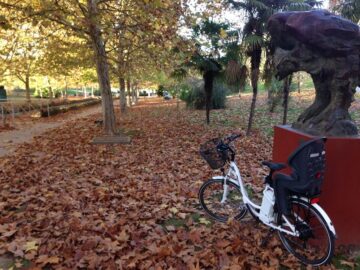 fotonoticia_20160212141647_800