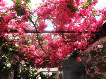 fotonoticia_20160215140125_800