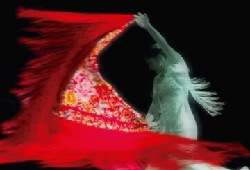 fotonoticia_20160215152226_800