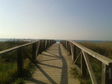 fotonoticia_20160217101302_800