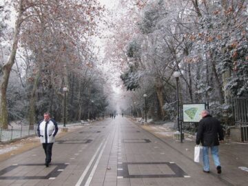 fotonoticia_20160217111432_800