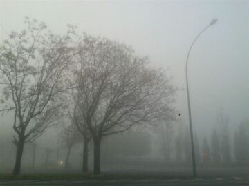 fotonoticia_20160304133043_800