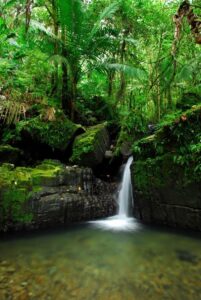 fotonoticia_20160305102937_800