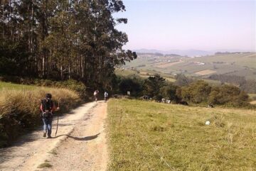 fotonoticia_20160308141436_800