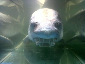 fotonoticia_20160310104833_800