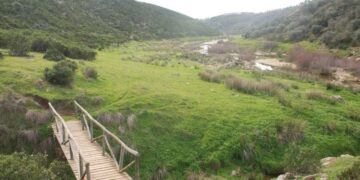 fotonoticia_20160316163624_800