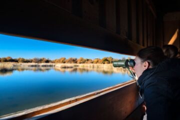 fotonoticia_20160316181832_800