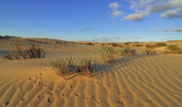 fotonoticia_20160318181046_800