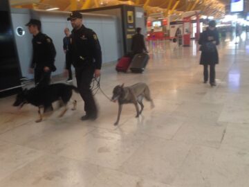 fotonoticia_20160323133133_800