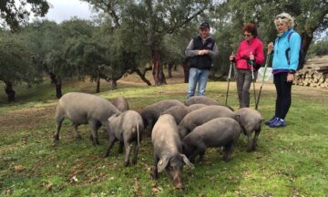 fotonoticia_20160328090724_800