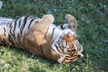 fotonoticia_20160328102834_800