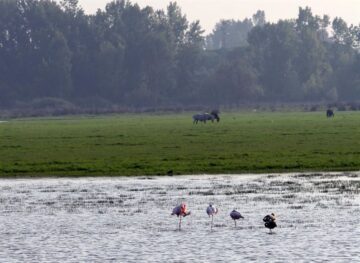 fotonoticia_20160328183639_800