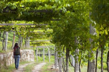 fotonoticia_20160330141400_800