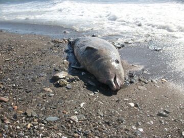 fotonoticia_20160330165949_800