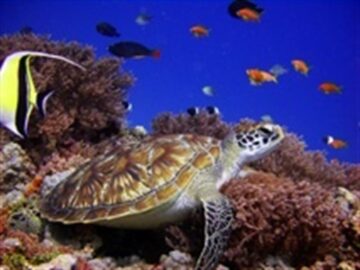 fotonoticia_20160404195049_800