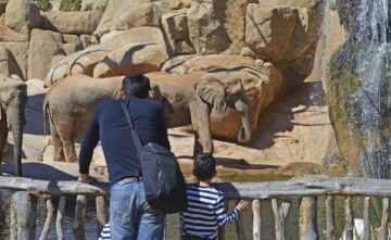 fotonoticia_20160406191613_800