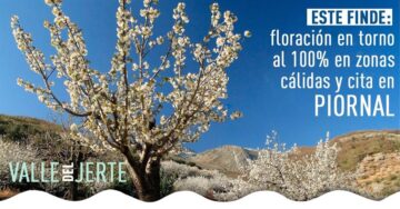 fotonoticia_20160407120058_800