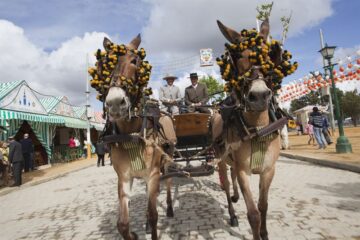 fotonoticia_20160407144042_800