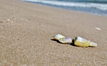 fotonoticia_20160408132059_800