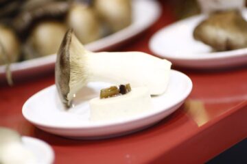 fotonoticia_20160415173339_800