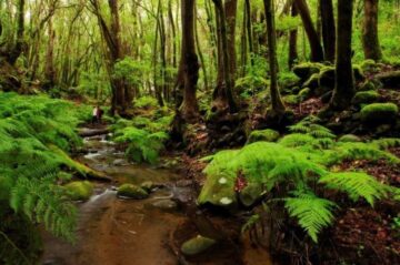 fotonoticia_20160427134151_800