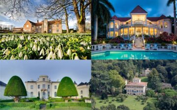 fotonoticia_20160427173707_800