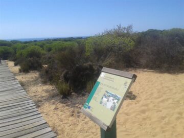 fotonoticia_20160428130320_800