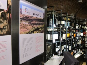 fotonoticia_20160505184050_800