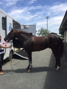 fotonoticia_20160519124519_800