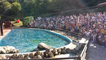 fotonoticia_20160519190403_800