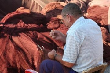 fotonoticia_20160523153941_800