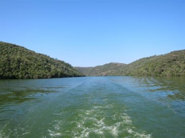 fotonoticia_20160524114912_800