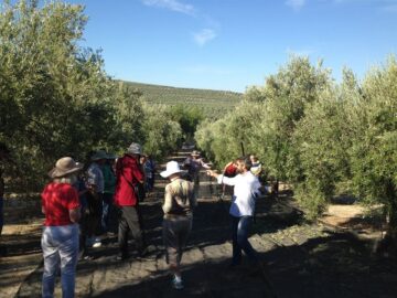 fotonoticia_20160530103051_800