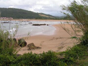 fotonoticia_20160530130852_800