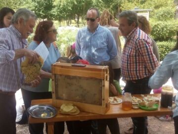 fotonoticia_20160531201310_800