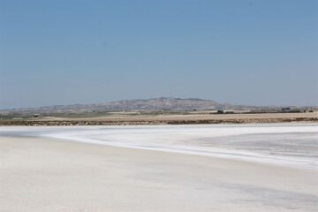 fotonoticia_20160602094542_800